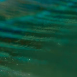 Abstract image