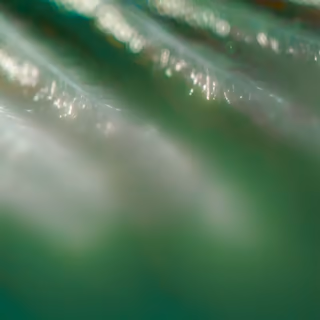 Visual for Security Team Incubation
