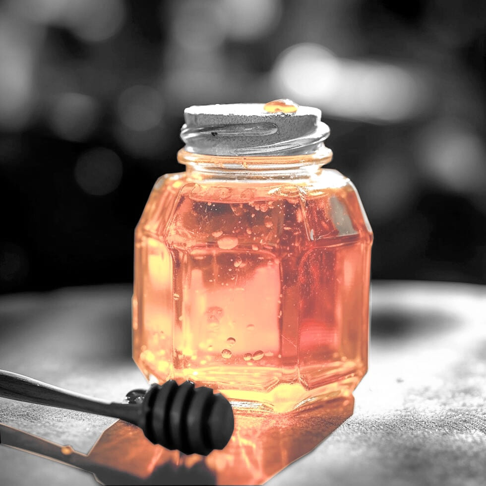 Certiception: The ADCS honeypot we always wanted - SRLabs Research