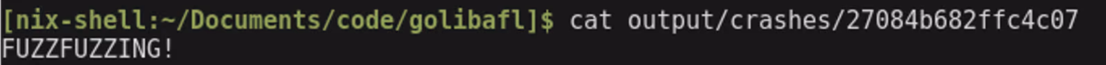 The correct input was found
