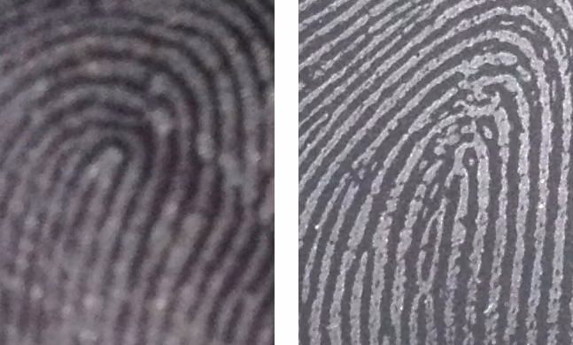 Low resolution fingerprint image